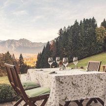 Freihaus Brenner Terasse