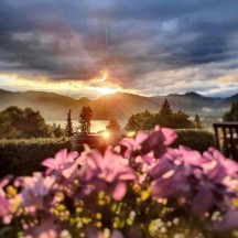 Sonnenuntergang mit Blumen im Vordergrund